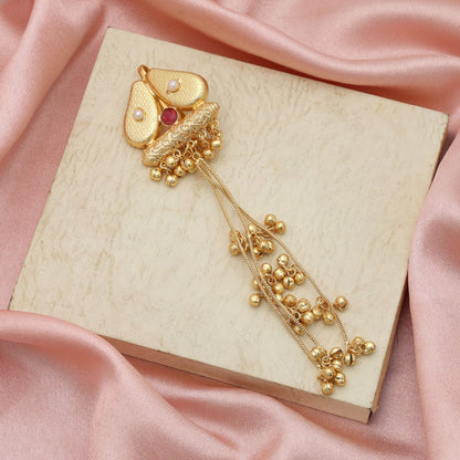 Rani Color Haarspange Stylischer traditioneller Haarschmuck Designer Modeaccessoire