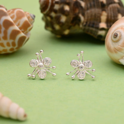 Silver Color 925 Silver Stud Earrings (OME106SLV)