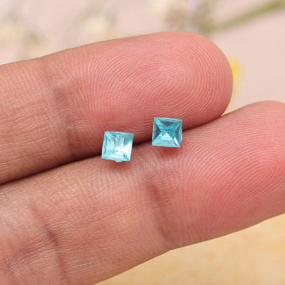 Assorted Color Stud Earrings Combo Of 72 Pairs